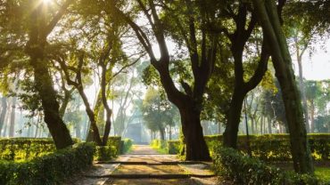 Parks in Rome